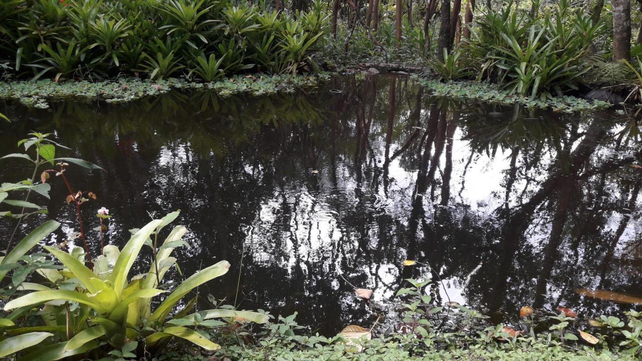 Pousada Chacara Pacheco Hotel Visconde De Maua Kültér fotó